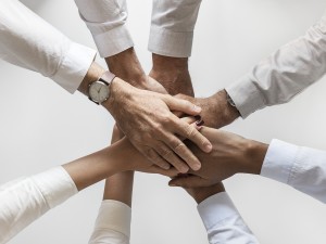 Which team is your team?